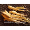 Alta Qualidade 100% Natural Siberian Ginseng Extrato Em Pó em Massa Eleutheroside B + E 1.5%